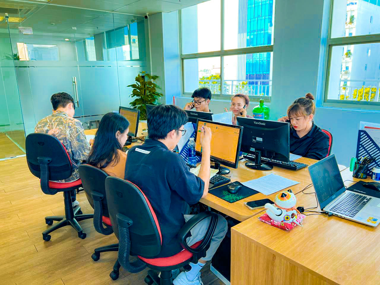 lĩnh vực hoạt động